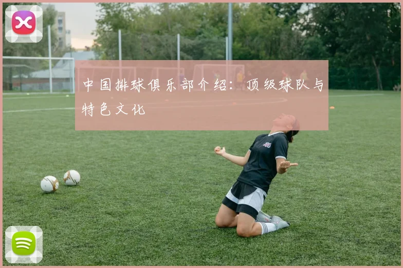 中国排球俱乐部介绍：顶级球队与特色文化